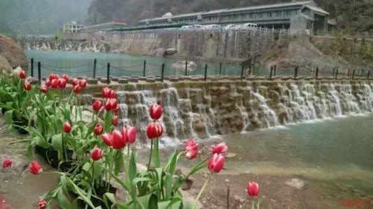 奢华年代